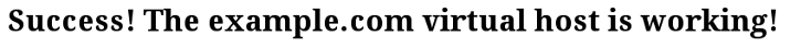Success! The example.com virtual host is working!