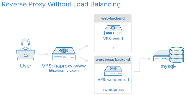 Reverse Proxy With No Load Balancing