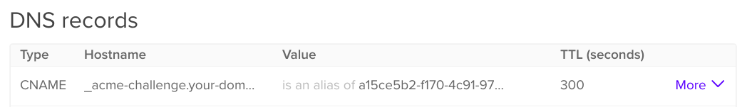A screenshot of the DigitalOcean DNS control panel, showing an example of a CNAME record for ACME DNS