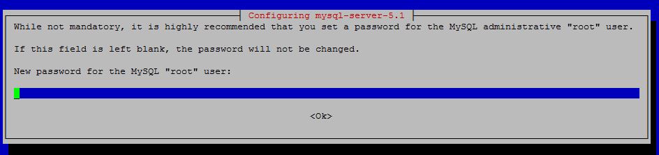 Provide a root password for MySQL