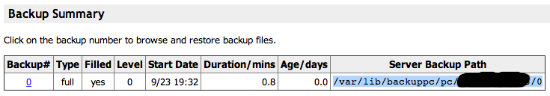 BackupPC backup summary