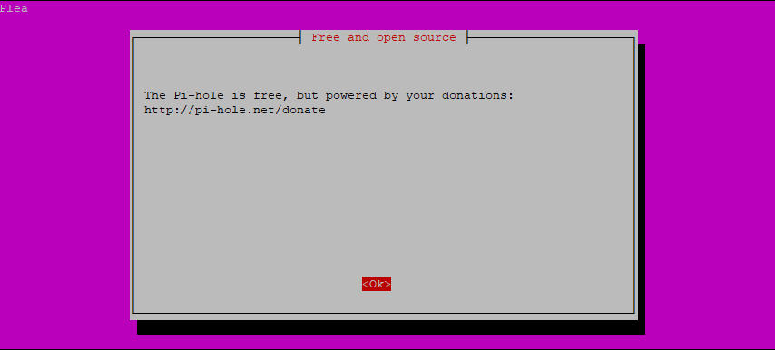 Step 3: Pi-hole Installation Script