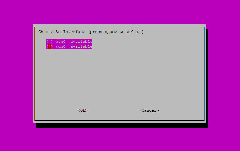 Step 5: Pi-hole Installation Script