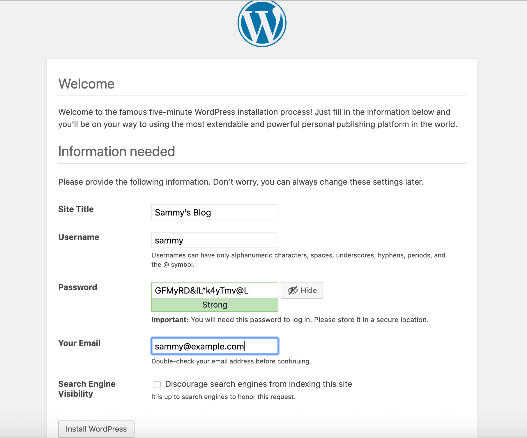 Главная страница настройки WordPress