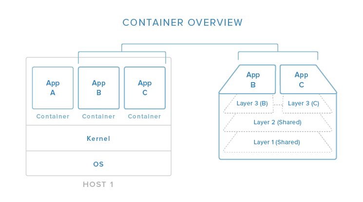 tinymediamanager docker container