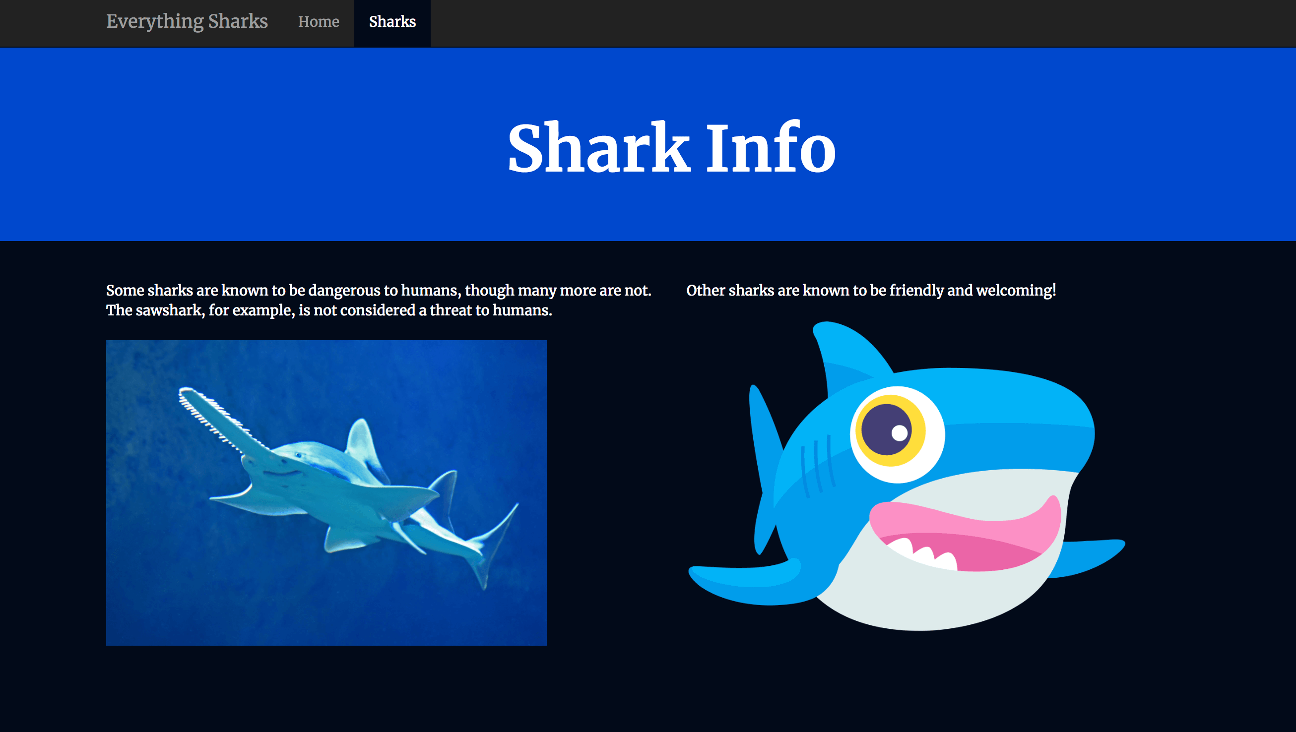 Shark Info-Seite