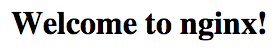 Nginx default page
