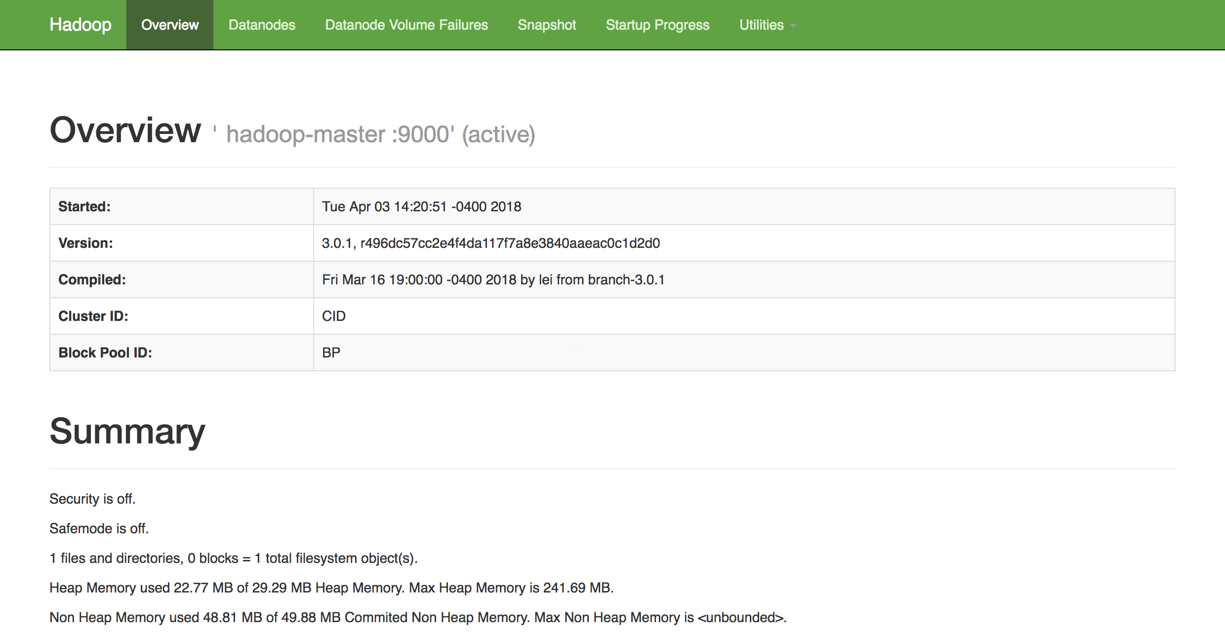 Hadoop Health Verification