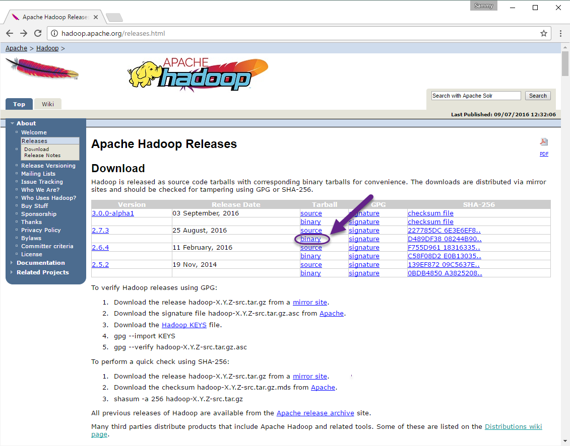 Screenshot of the Hadoop Releases page highlighting the link the mirrors page