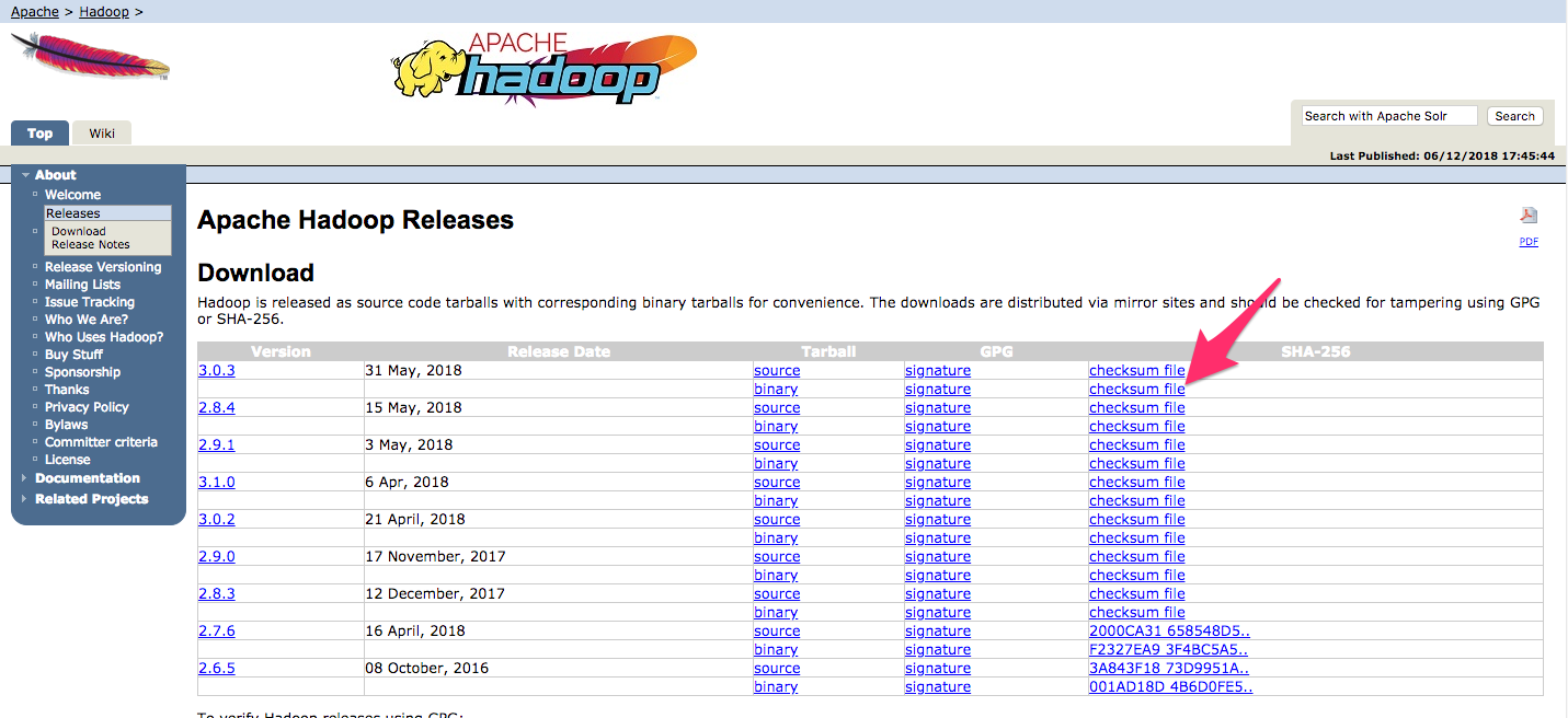 Screenshot highlighting the .mds file