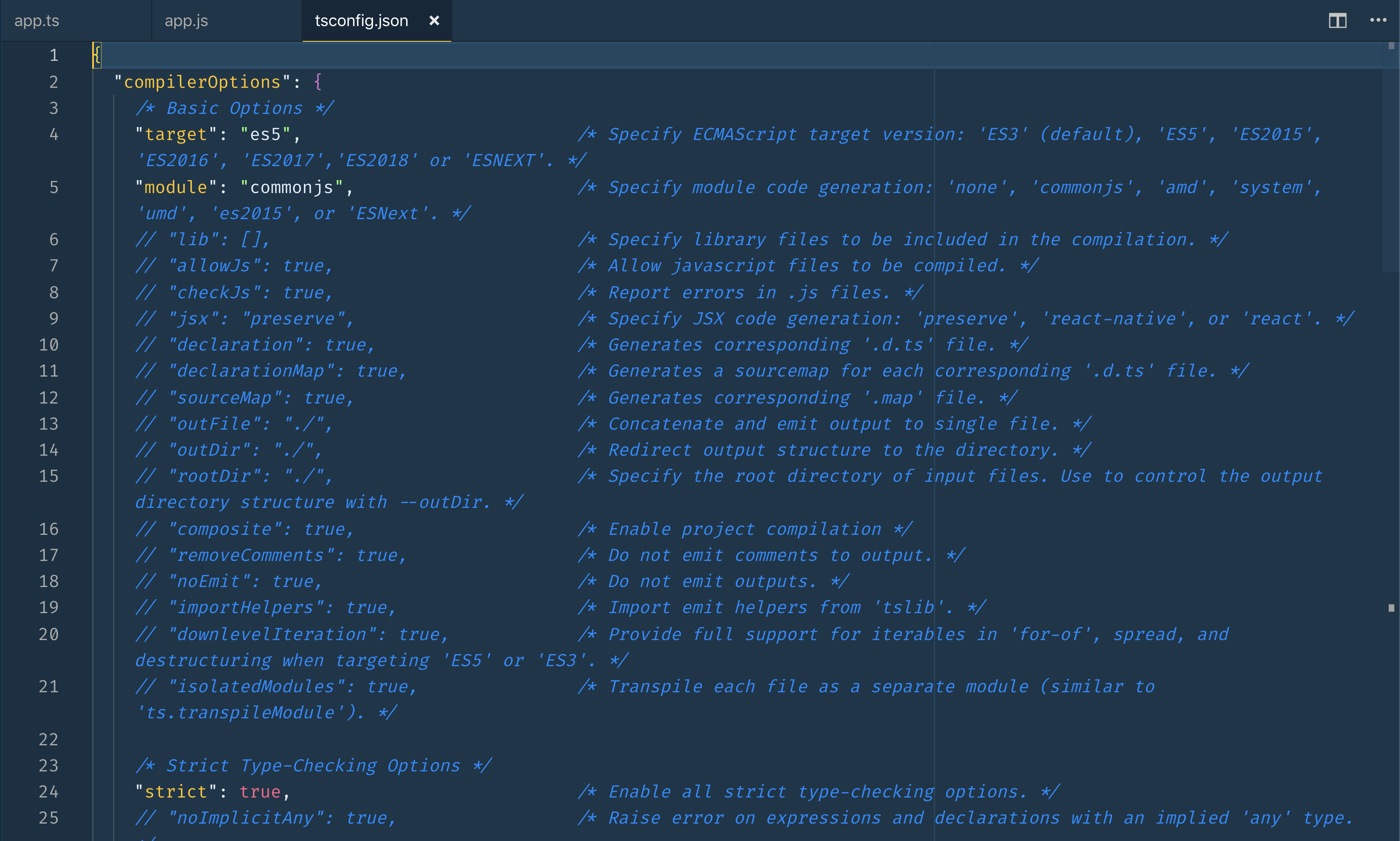 Screenshot of options listed and commented out in the new config file