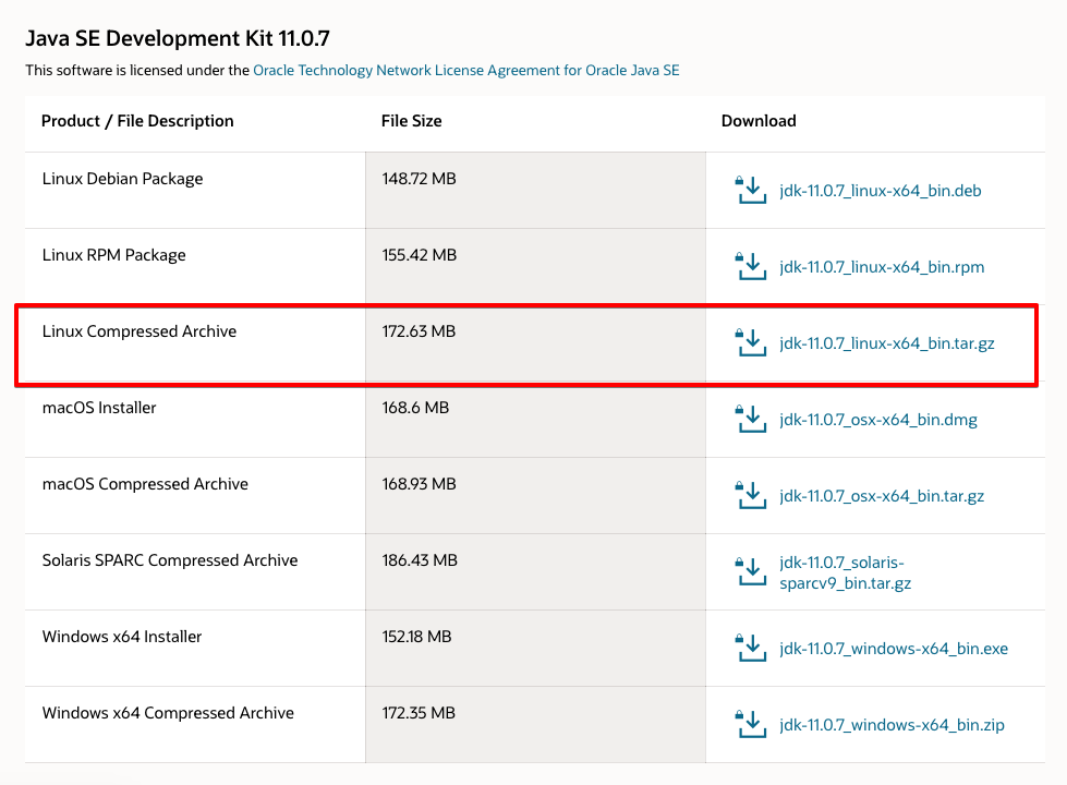 Java SE Runtime Environment 10