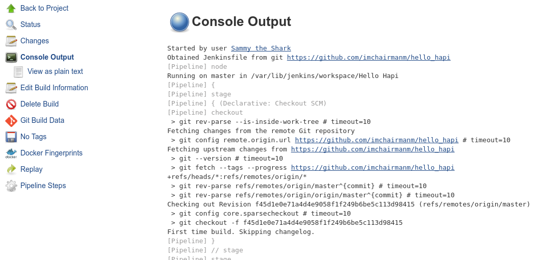 Jenkins console output