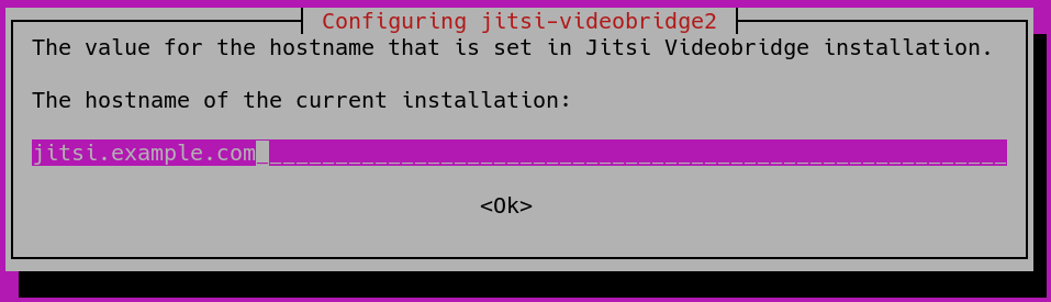 Image montrant le dialogue de nom d'hôte de l'installation de jitsi-meet