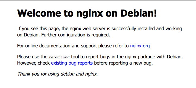 Nginx default page