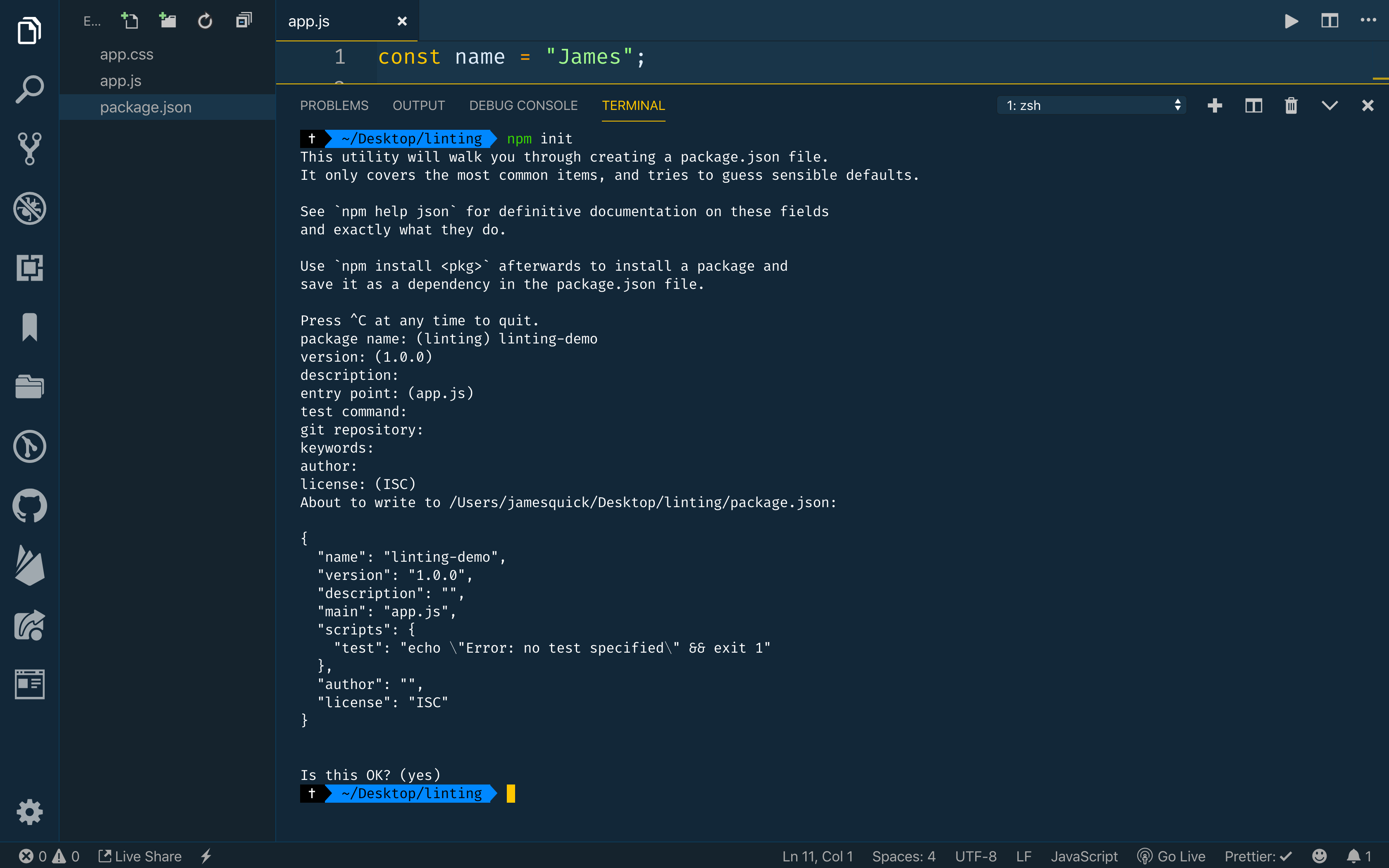 Screenshot of the terminal output after running npm init