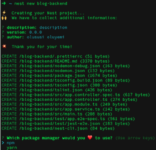 Inside Nestjs project