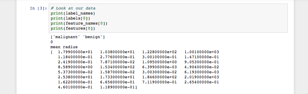 Alt Jupyter Notebook with three Python cells, which prints the first instance in our dataset