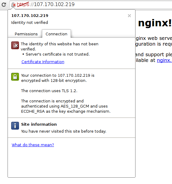 Información Nginx SSL