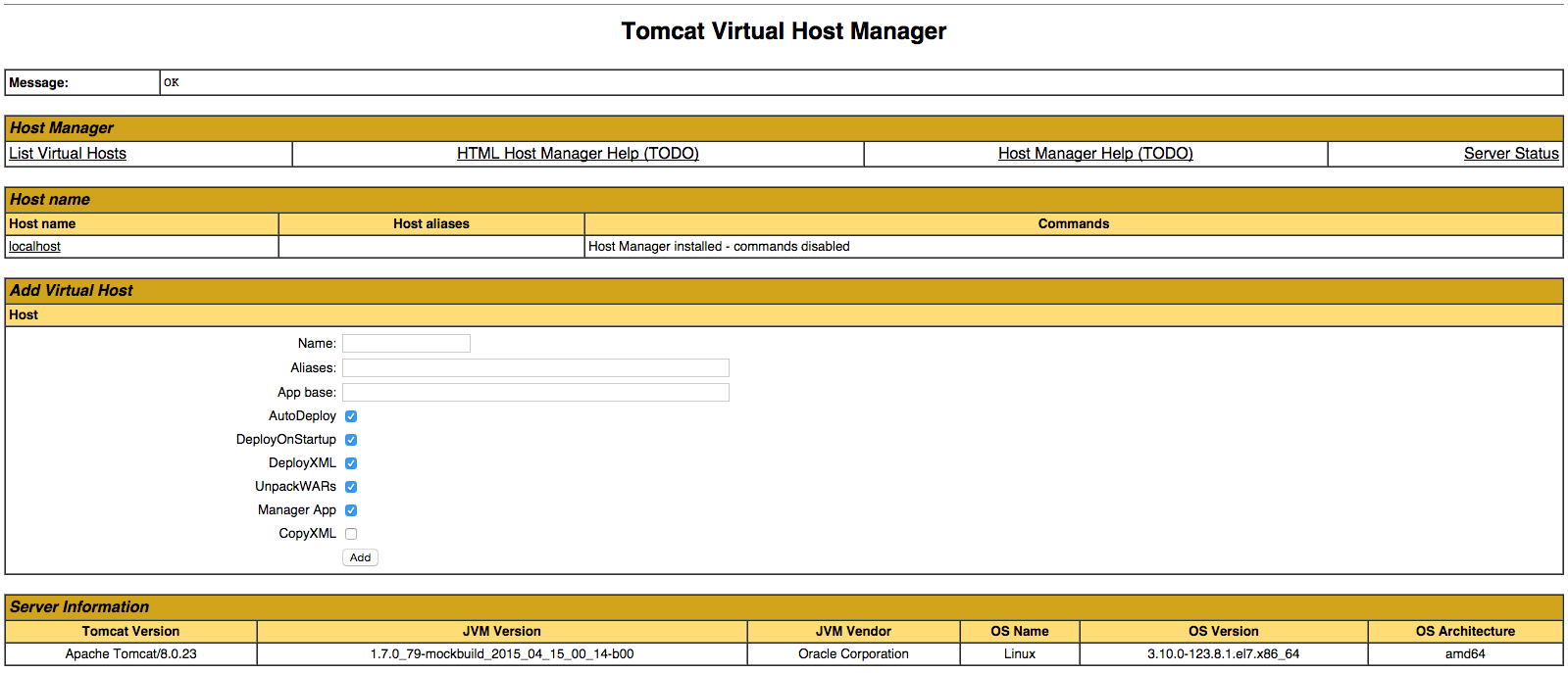 Tomcat Virtual Host Manager