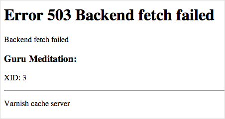 503 Error