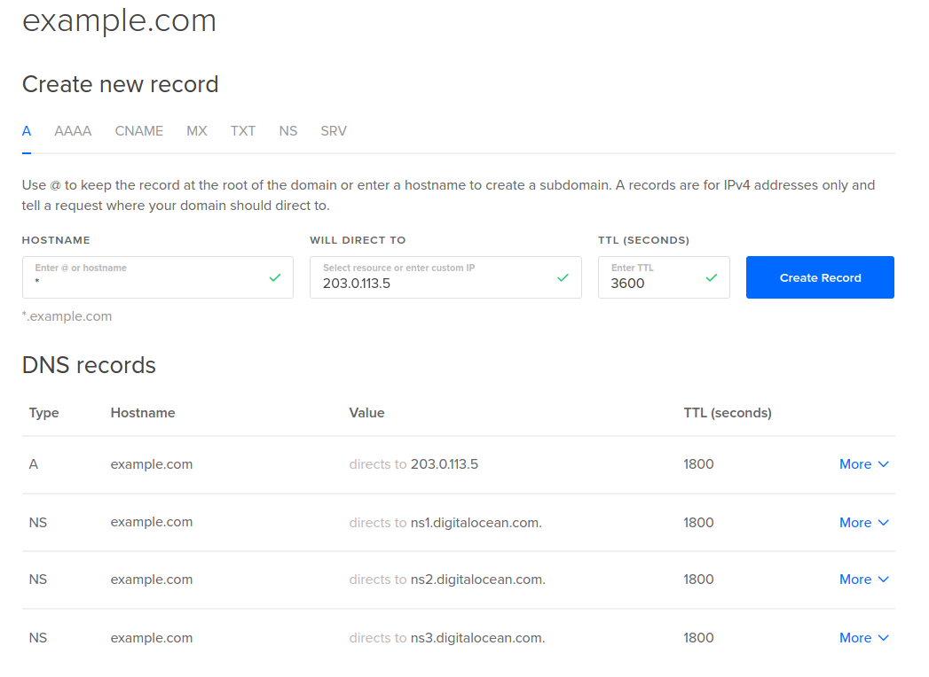 DNS Control Panel - wildcard record