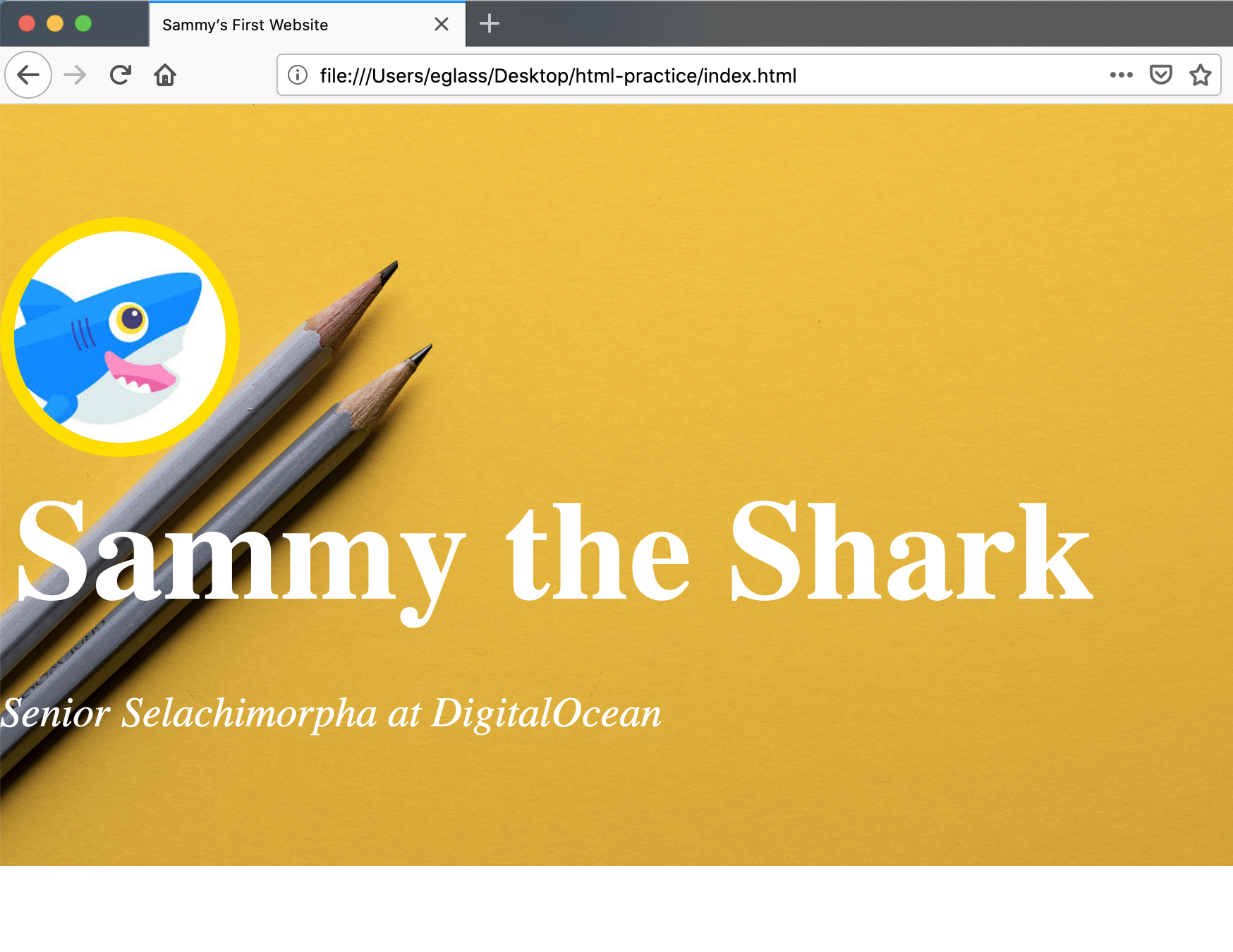 How to Make Website With Digitalocean: A Simple Guide