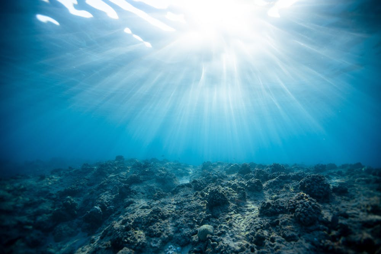 Underwater ocean scene